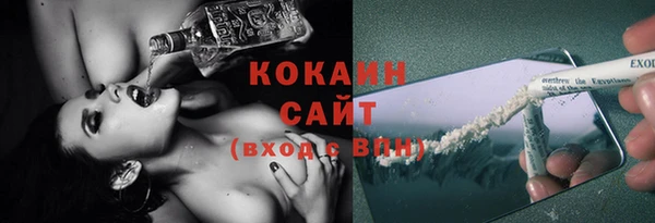 гашик Осташков