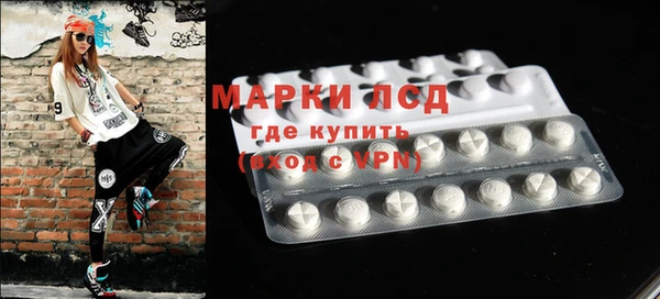 гашик Осташков